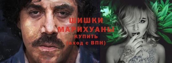 шишки Арсеньев