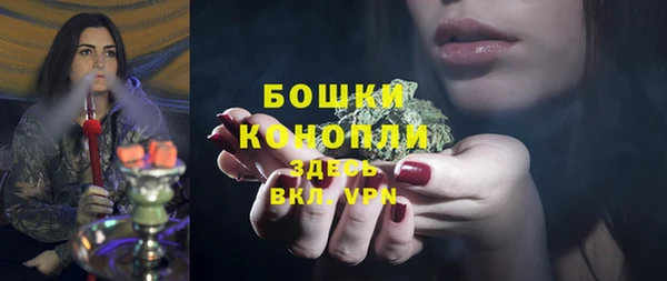 apvp Аркадак