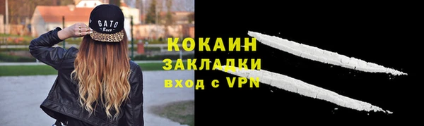 шишки Арсеньев