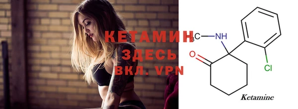 шишки Арсеньев