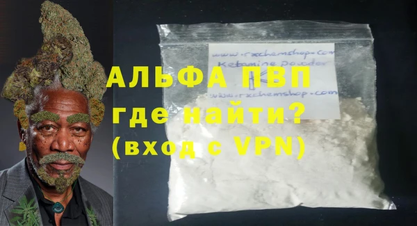 шишки Арсеньев