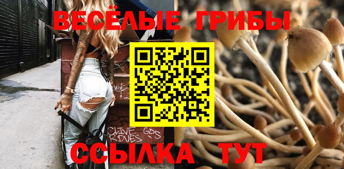 Псилоцибиновые грибы GOLDEN TEACHER  Вход с VPN  Галлюциногенные грибы мухоморы  Минусинск 