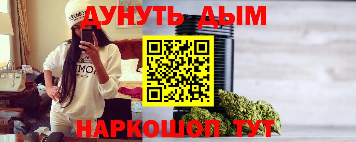 Каннабис сатива Минусинск